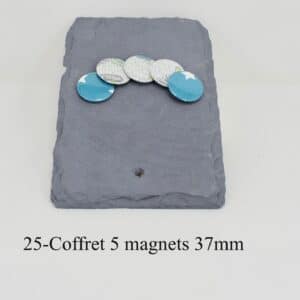 Coffret 5 magnets 37mm